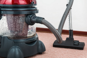 6 Nasties that Could be Living in your Carpet